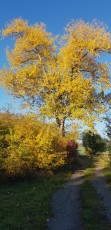 Autumn-holidays