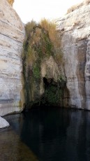 Ein-Akev-Wasser-in-der-Wüste
