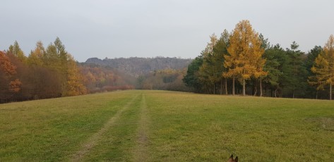 Herbsturlaub-Prag-Divoke-Sarka