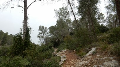 In-the-hills-near-Yad-Hashmona