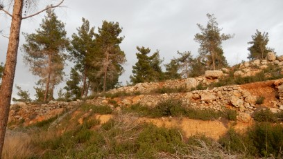 Israel-enjoy-nature