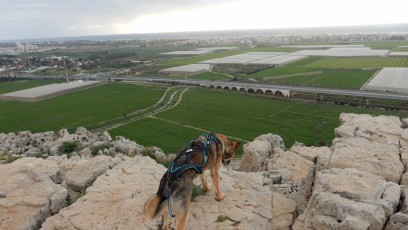 Israel-near-Binjamina