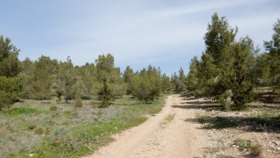 Izrael-bliz-Beer-Sheva