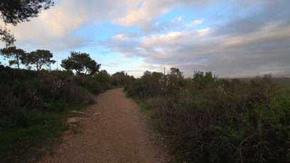 Izrael-trekking-Shvil