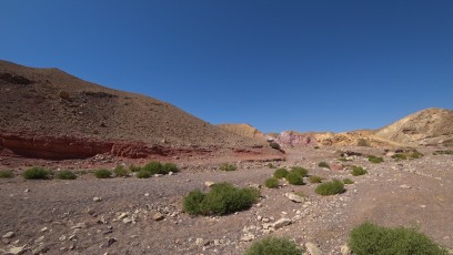 Negev-off-road