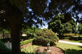 SONY DSC