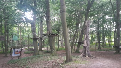 Seilpark-auf-Rügen