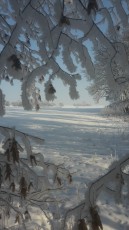 Winterholidays-in-Czech-Republic