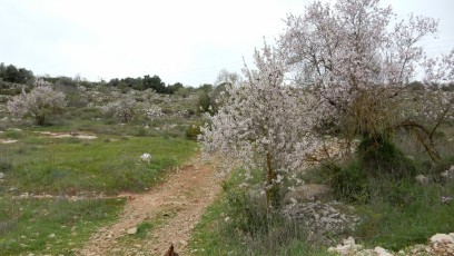 dogtrekking-im-Frühling