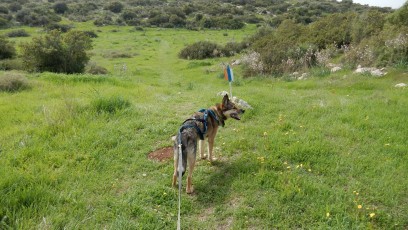 explore-shvil-Israel