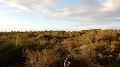 outdoor-walking