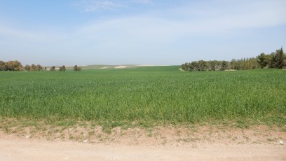 view-over-fields-Israel