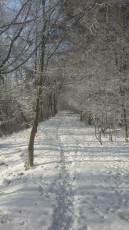 winterurlaub-Isergebirge